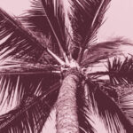 Cambrian explosion kindling the energy hidden in matter vanquish now